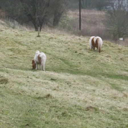 Apartmán Relaxing Getaway, With Outstanding Views