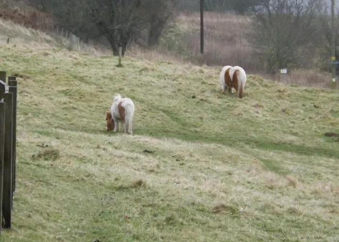 Apartman Relaxing Getaway, With Outstanding Views